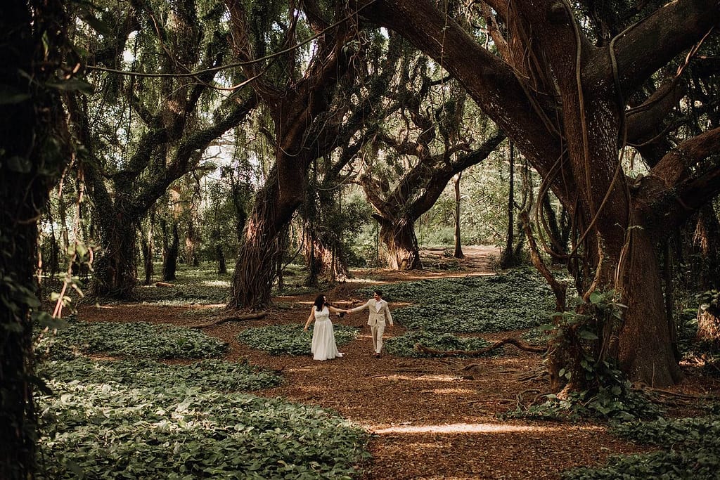 Maui elopement